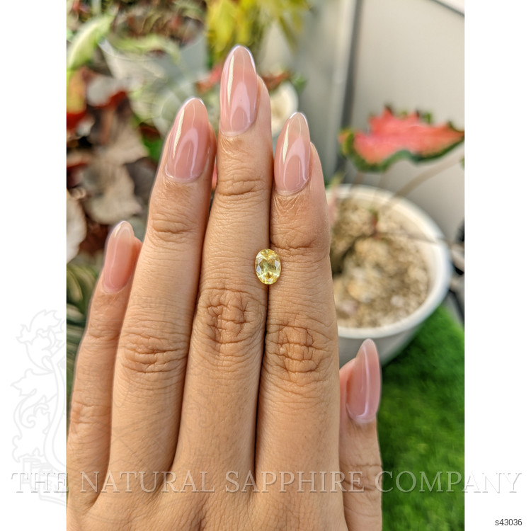 1.02 Ct. Yellow Sapphire from Ceylon (Sri Lanka)