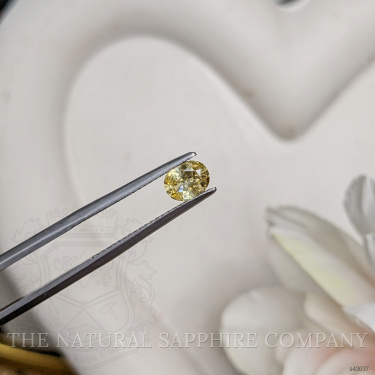 0.63 Ct. Yellow Sapphire from Ceylon (Sri Lanka)