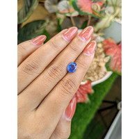 2.04 Ct. Blue Sapphire from Ceylon (Sri Lanka) Life Style