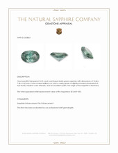 3.35 Ct. Bluish Green Sapphire from Montana Appraisal