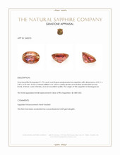 Jewelry Appraisal