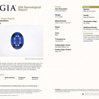 Jewelry Scan Report