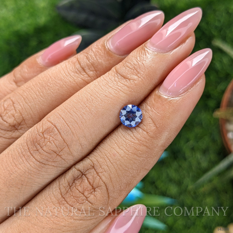 1.01 Ct. Bi Color / Parti Sapphire from Ceylon (Sri Lanka)