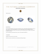 1.00 Ct. Bi Color / Parti Sapphire from Ceylon (Sri Lanka) Appraisal