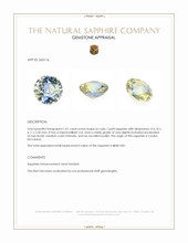 1.01 Ct. Bi Color / Parti Sapphire from Ceylon (Sri Lanka) Appraisal