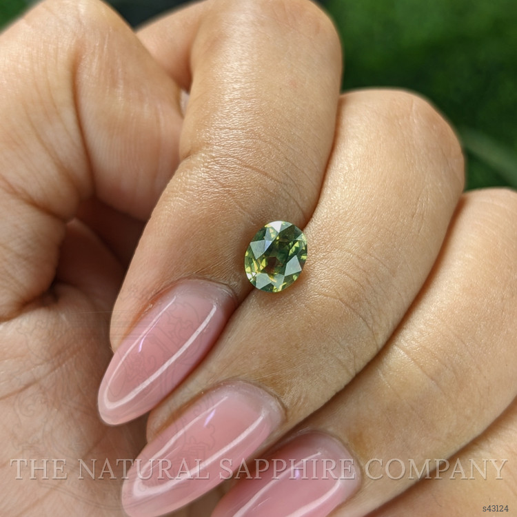 1.10 Ct. Yellowish Green Sapphire from Australia