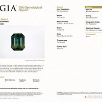Jewelry Scan Report