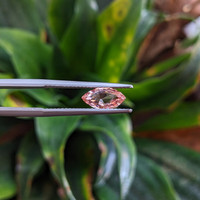 0.99 Ct. Padparadscha Sapphire from Ceylon (Sri Lanka) Life Style