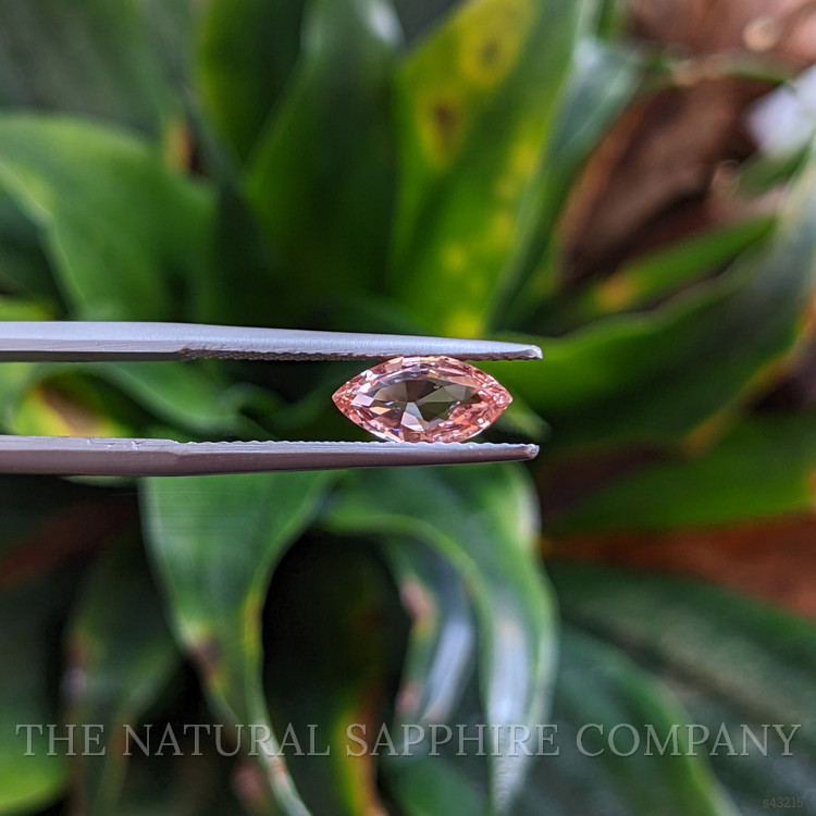 0.99 Ct. Padparadscha Sapphire from Ceylon (Sri Lanka)