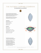 Jewelry 3 D Scan Report