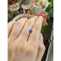 0.57 Ct. Blue Sapphire from Ceylon (Sri Lanka) Life Style