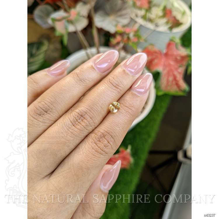 1.31 Ct. Yellow Sapphire from Ceylon (Sri Lanka)