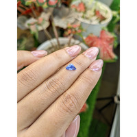 0.78 Ct. Blue Sapphire from Ceylon (Sri Lanka) Life Style