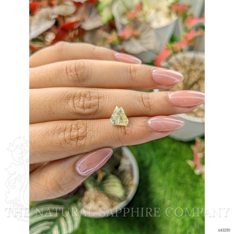 2.71 Ct. Yellow Sapphire from Ceylon (Sri Lanka)