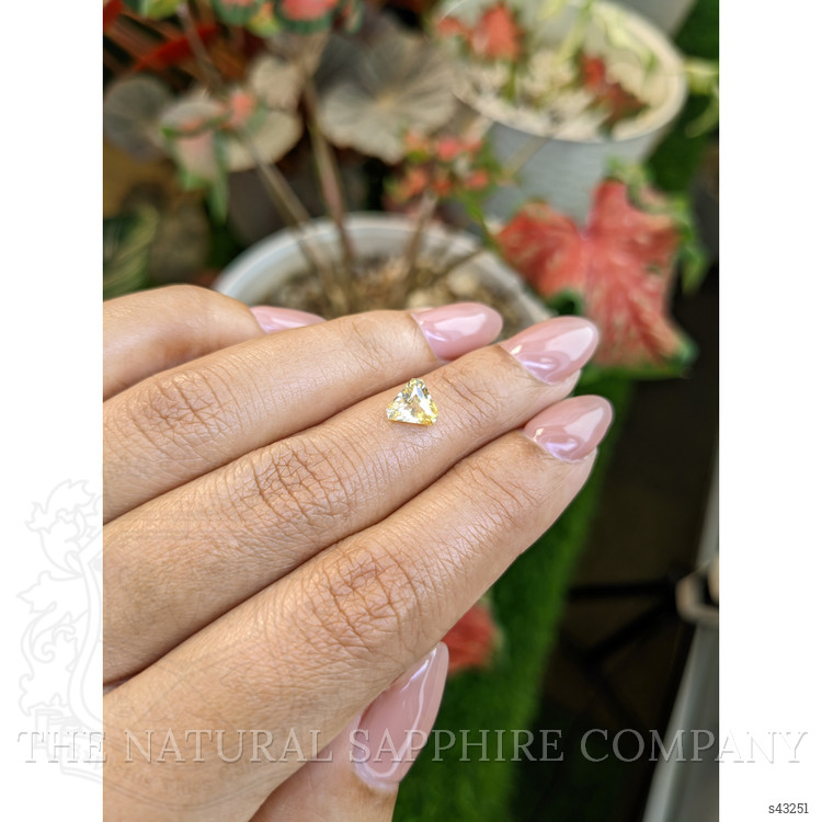 0.88 Ct. Yellow Sapphire from Ceylon (Sri Lanka)
