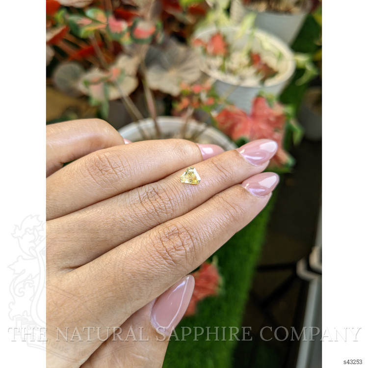 1.11 Ct. Yellow Sapphire from Ceylon (Sri Lanka)