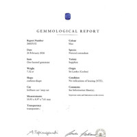 7.32 Ct. Blue Sapphire from Ceylon (Sri Lanka) Scan Report