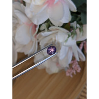2.41 Ct. Purple Star Sapphire from Ceylon (Sri Lanka) Life Style