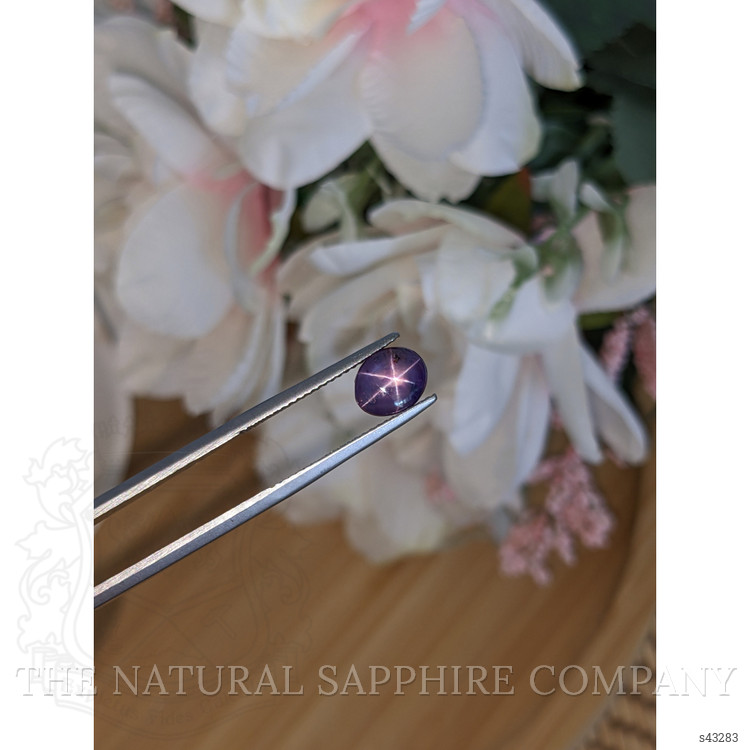 2.41 Ct. Purple Star Sapphire from Ceylon (Sri Lanka)