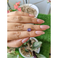 2.41 Ct. Purple Star Sapphire from Ceylon (Sri Lanka) Life Style