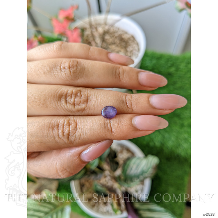 2.41 Ct. Purple Star Sapphire from Ceylon (Sri Lanka)