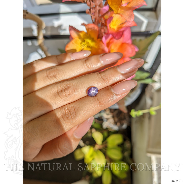 2.41 Ct. Purple Star Sapphire from Ceylon (Sri Lanka)