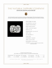 Jewelry Scan Report