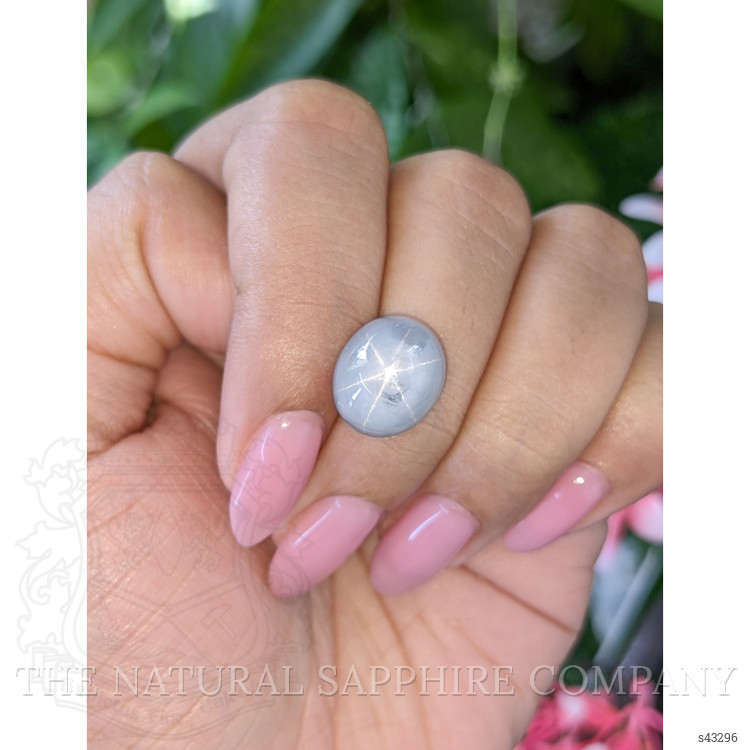 14.50 Ct. Grey Star Sapphire from Ceylon (Sri Lanka)