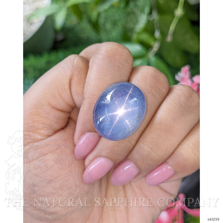67.93 Ct. Blue Star Sapphire from Ceylon (Sri Lanka)