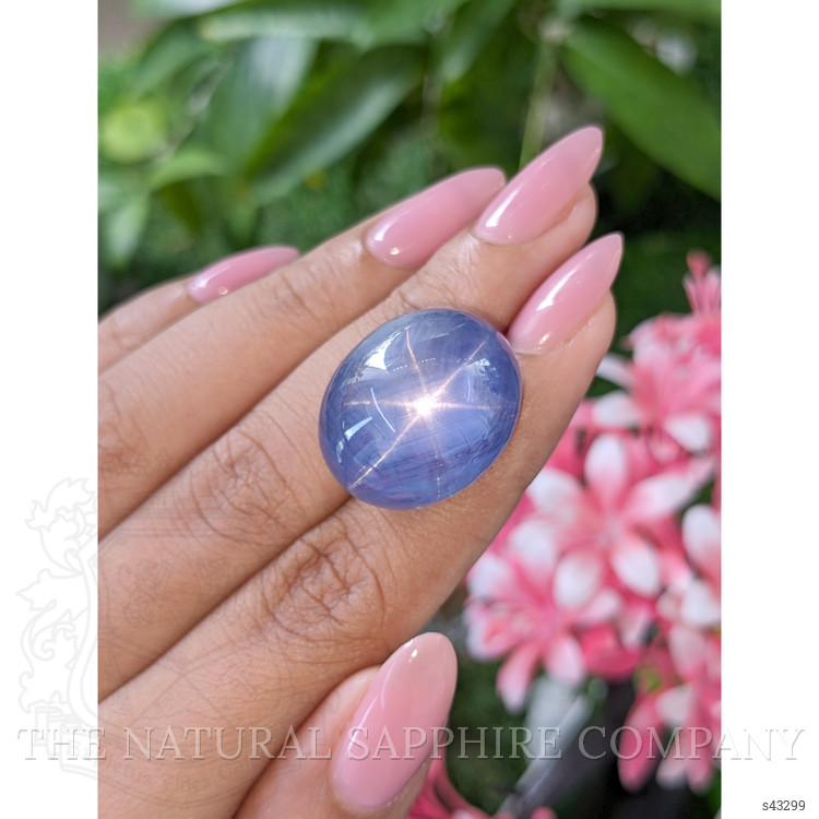 67.93 Ct. Blue Star Sapphire from Ceylon (Sri Lanka)