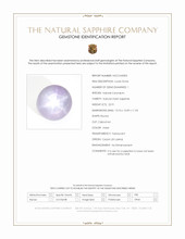 22.91 Ct. Violet Star Sapphire from Ceylon (Sri Lanka) Scan Report