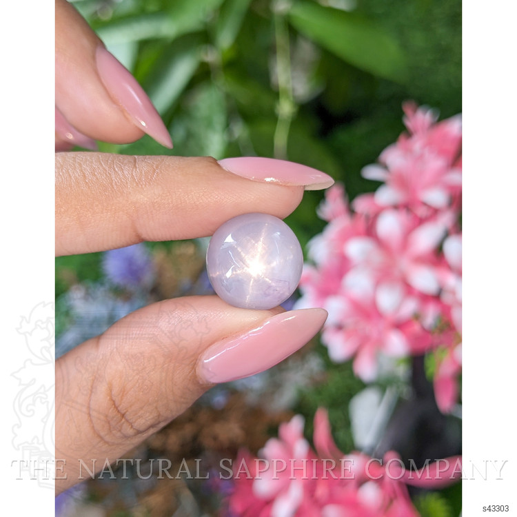 22.91 Ct. Violet Star Sapphire from Ceylon (Sri Lanka)