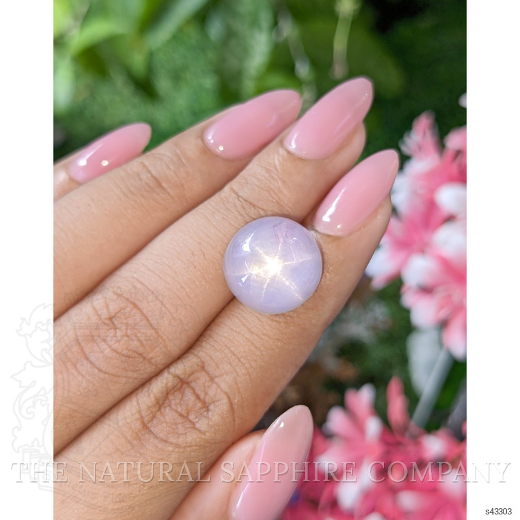 22.91 Ct. Violet Star Sapphire from Ceylon (Sri Lanka)