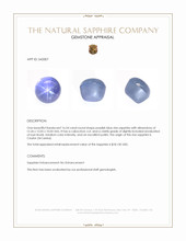 16.54 Ct. Purplish Blue Star Sapphire from Ceylon (Sri Lanka) Appraisal
