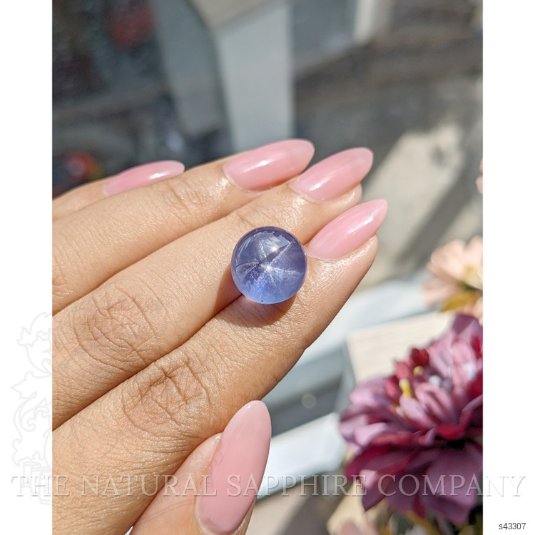 16.54 Ct. Purplish Blue Star Sapphire from Ceylon (Sri Lanka)