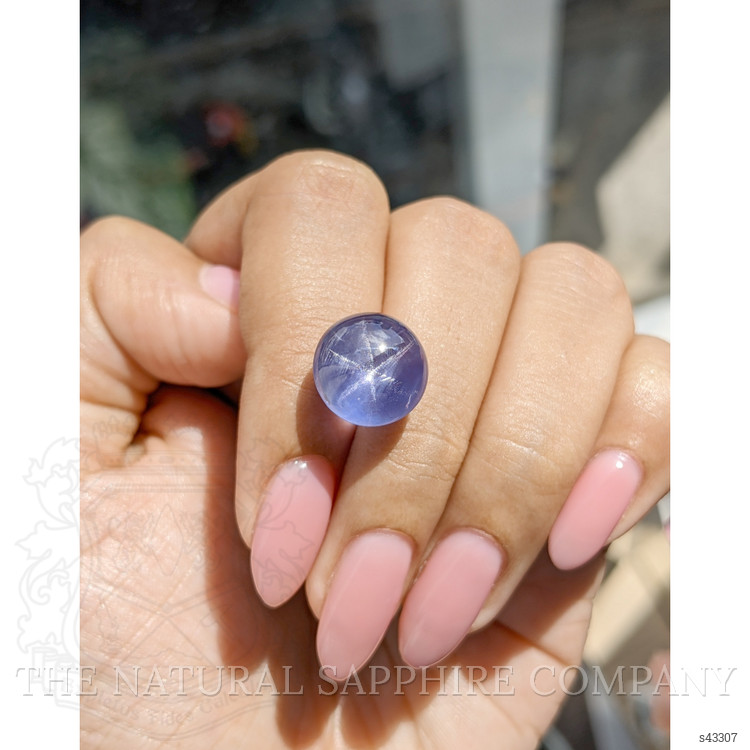 16.54 Ct. Purplish Blue Star Sapphire from Ceylon (Sri Lanka)