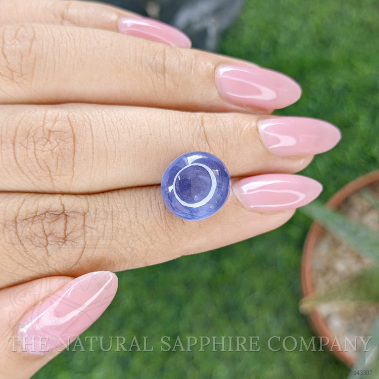 16.54 Ct. Purplish Blue Star Sapphire from Ceylon (Sri Lanka)