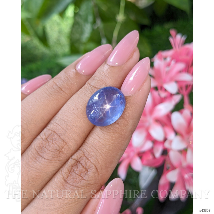 16.00 Ct. Blue Star Sapphire from Ceylon (Sri Lanka)