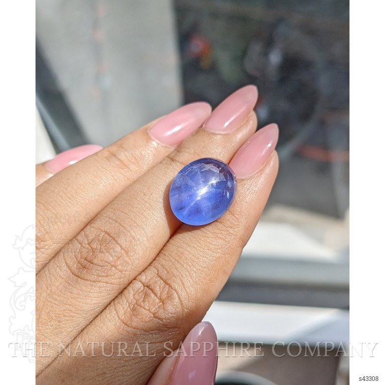 16.00 Ct. Blue Star Sapphire from Ceylon (Sri Lanka)