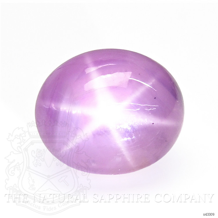 20.12 Ct. Pink Star Sapphire from Ceylon (Sri Lanka)