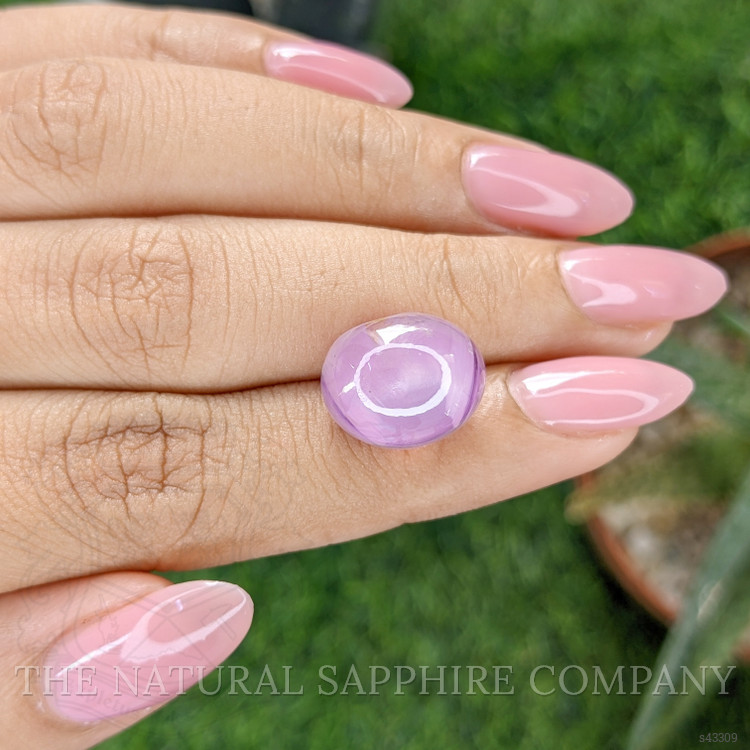 20.12 Ct. Pink Star Sapphire from Ceylon (Sri Lanka)