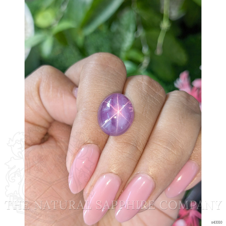 17.52 Ct. Pinkish Purple Star Sapphire from Ceylon (Sri Lanka)