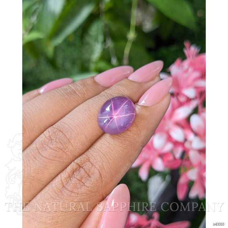 17.52 Ct. Pinkish Purple Star Sapphire from Ceylon (Sri Lanka)