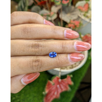 1.10 Ct. Blue Sapphire from Ceylon (Sri Lanka) Life Style