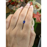 0.77 Ct. Blue Sapphire from Ceylon (Sri Lanka) Life Style