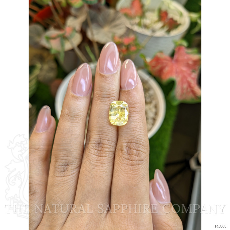 6.42 Ct. Yellow Sapphire from Ceylon (Sri Lanka)