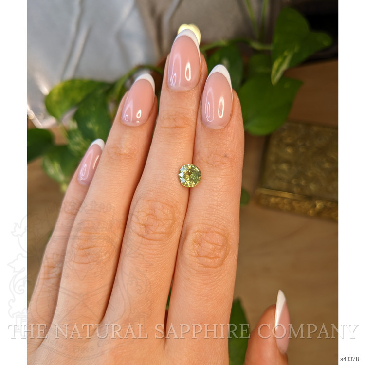 2.00 Ct. Yellowish Green Sapphire from Montana