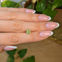 2.00 Ct. Yellowish Green Sapphire from Montana Life Style