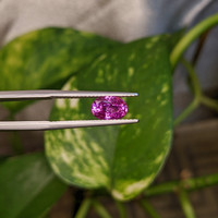 1.53 Ct. Purplish Pink Sapphire from Madagascar Life Style