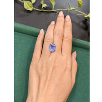 10.50 Ct. Blue Sapphire from Ceylon (Sri Lanka) Life Style